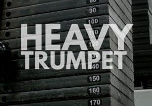 Heavy (3)